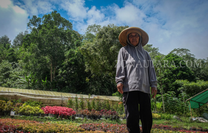 Semangat Tak Kenal Lelah Beti Sirigan: Petani Bunga yang Menebar Keindahan dari Kakaskasen 2, (Foto: ZONAUTARA.com/Yegar Sahaduta).