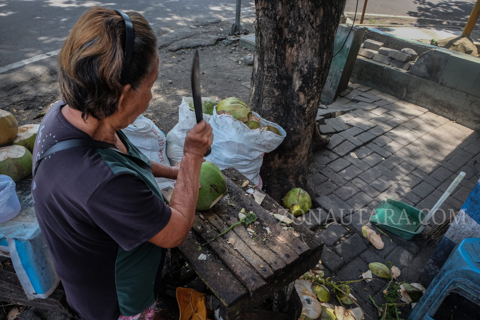 Rida, Perempuan Tangguh di Usia Senja: Ketika Kelapa Menjadi Sumber Kehidupan, (Foto: ZONAUTARA.com/Yegar Sahaduta).