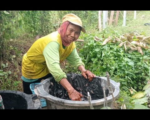 Niluh Gunasih, perempuan berusia 64 tahun yang menolak diam meski usia tak lagi muda. (Foto: Neno Karlina).